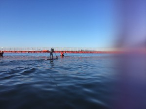 海釣り公園へ