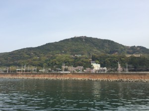 須磨浦公園の桜