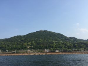 山の緑は夏色