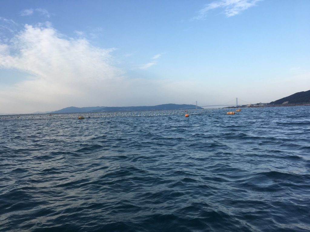 海苔の養殖の網